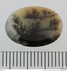 Foto von Quarz (Chalcedon, Achat, Dendritenachat/Mokkastein) (NHMW-MIN-Ab6132)
